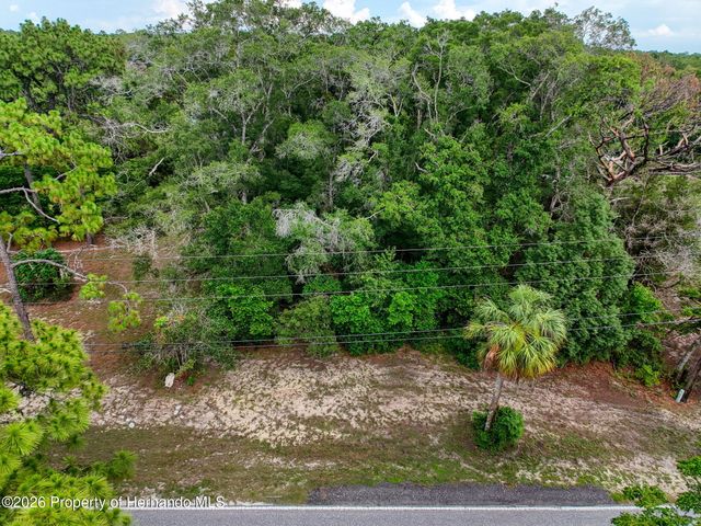 0 Fort Dade Avenue, Brooksville, FL 34601