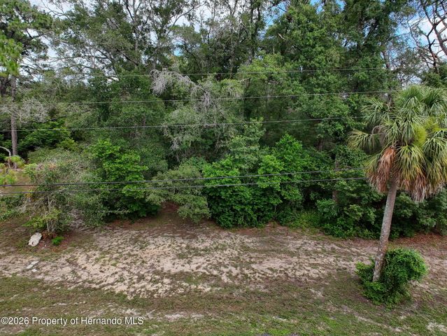 0 Fort Dade Avenue, Brooksville, FL 34601