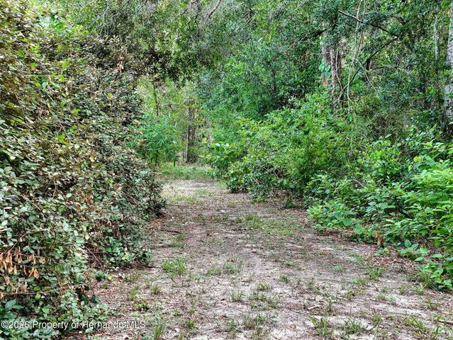 0 Fort Dade Avenue, Brooksville, FL 34601