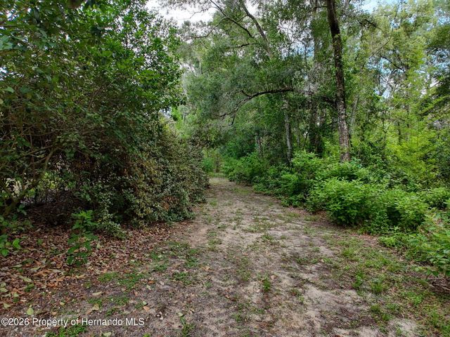 0 Fort Dade Avenue, Brooksville, FL 34601