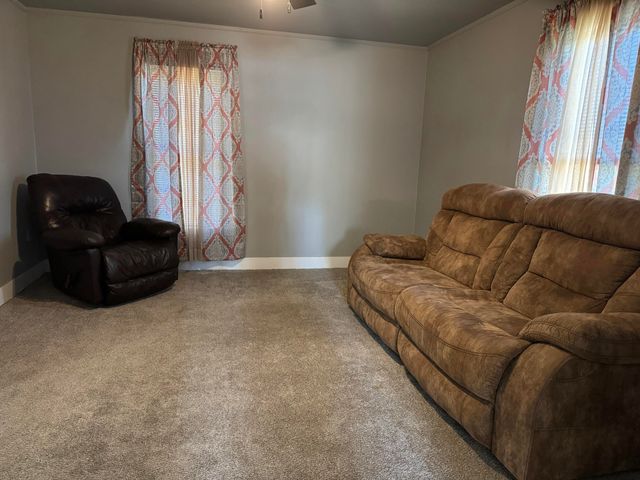 509 S Mansfield Road, Ava, MO 65608