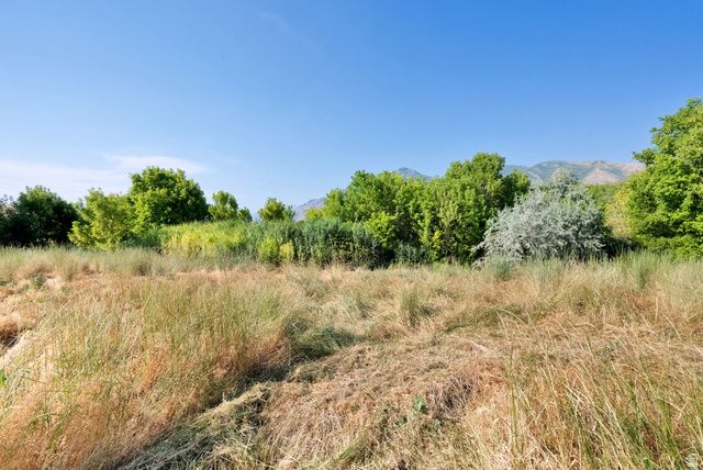 1632 S MAIN ST, Springville, UT 84663
