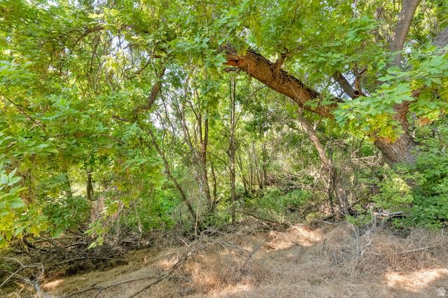 1632 S MAIN ST, Springville, UT 84663