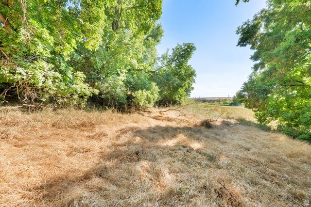 1632 S MAIN ST, Springville, UT 84663