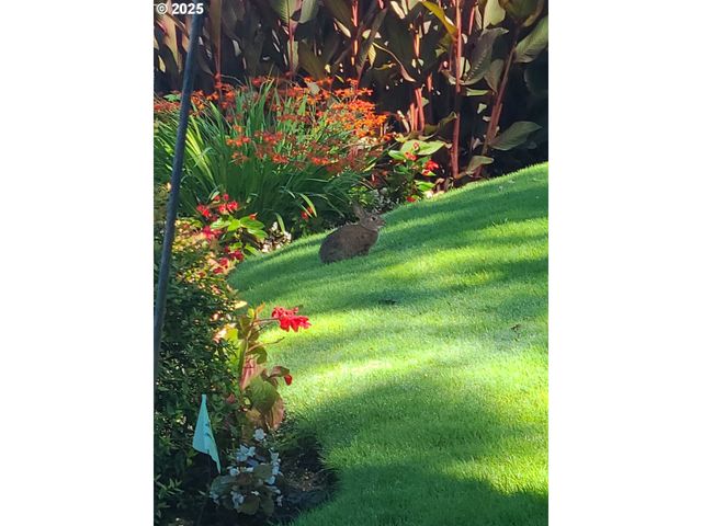 16755 GRAEF Cir, Lake Oswego, OR 97035