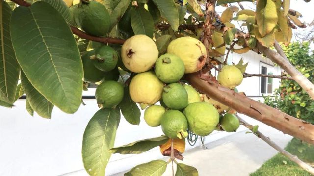 2801 College Blvd, Oceanside, CA 92056