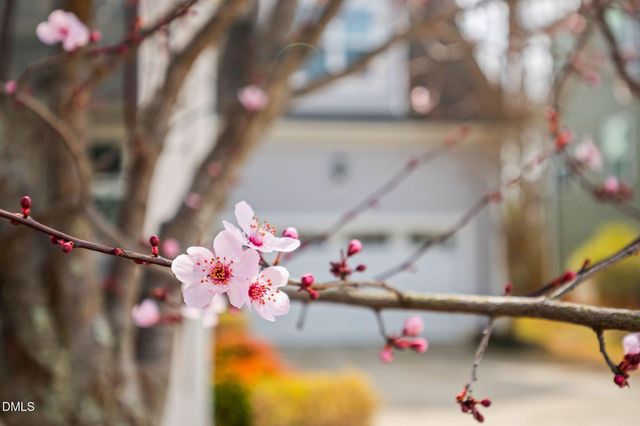 528 Spring Flower Court, Cary, NC 27511