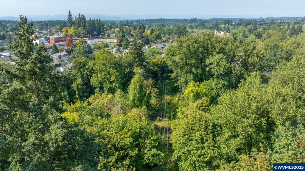 Image 16 of property listing at Lot 1700 SE Palmer Ln, Dayton, OR 97114
