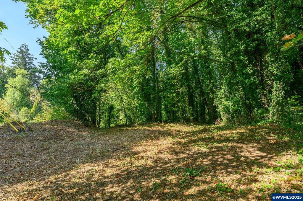 Image 20 of property listing at Lot 1700 SE Palmer Ln, Dayton, OR 97114