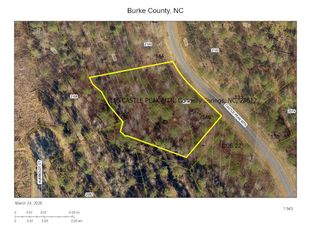 2115 Castle Peak Mountain None 146, Connelly Springs, NC 28612