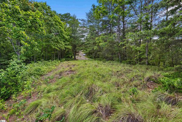 214 Craggy Rock Lane, Landrum, SC 29356