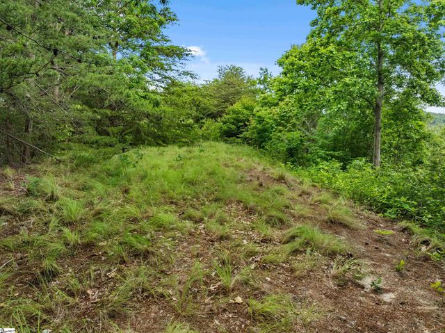 214 Craggy Rock Lane, Landrum, SC 29356