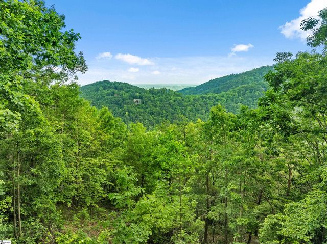 214 Craggy Rock Lane, Landrum, SC 29356