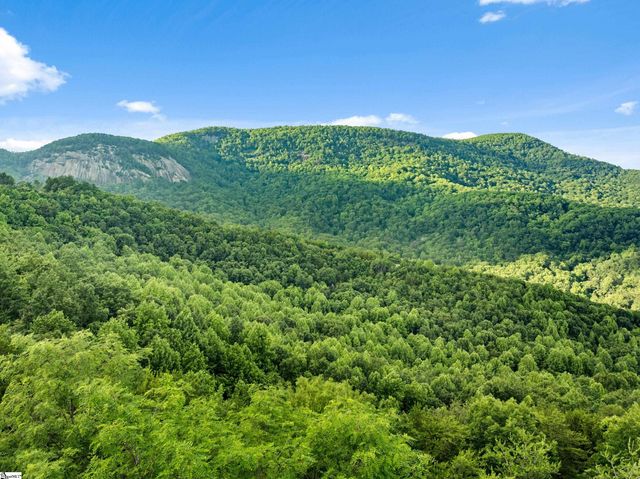 214 Craggy Rock Lane, Landrum, SC 29356