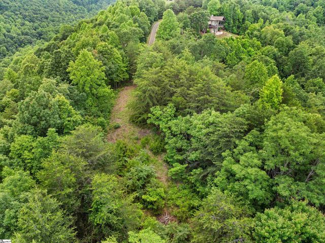 214 Craggy Rock Lane, Landrum, SC 29356