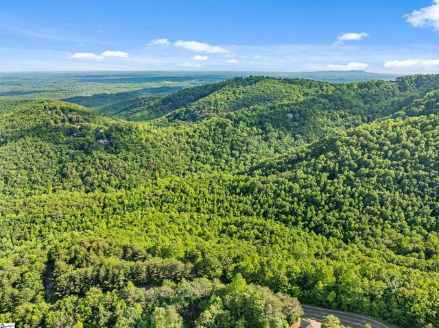 214 Craggy Rock Lane, Landrum, SC 29356