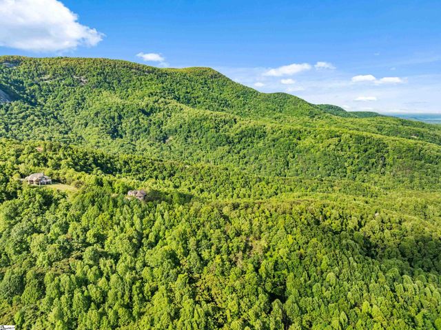 214 Craggy Rock Lane, Landrum, SC 29356