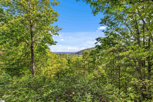 214 Craggy Rock Lane, Landrum, SC 29356