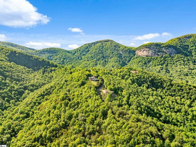 214 Craggy Rock Lane, Landrum, SC 29356