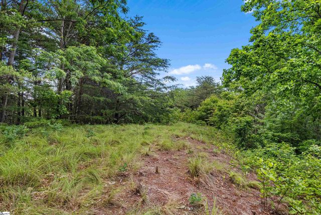 214 Craggy Rock Lane, Landrum, SC 29356