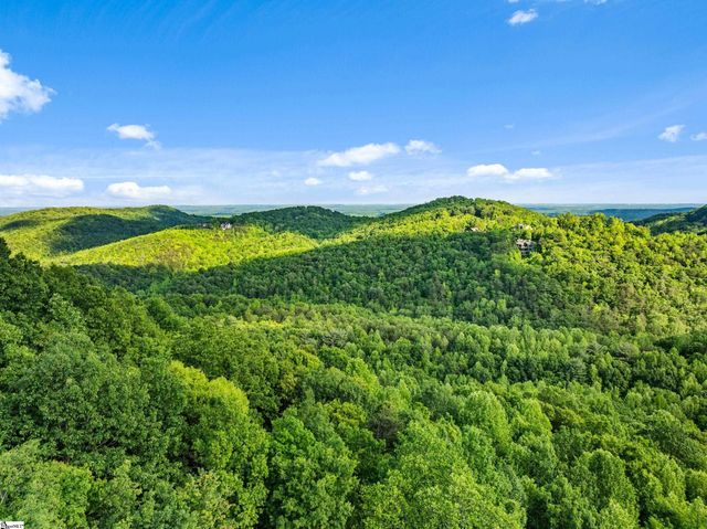 214 Craggy Rock Lane, Landrum, SC 29356