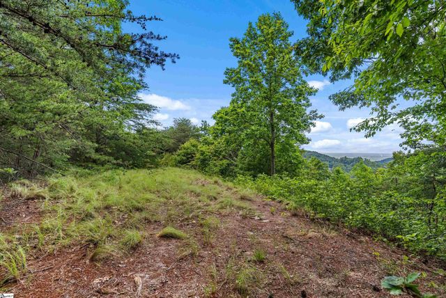 214 Craggy Rock Lane, Landrum, SC 29356