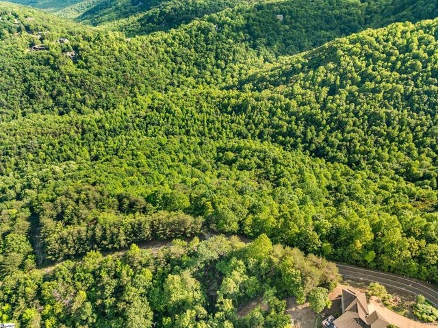 214 Craggy Rock Lane, Landrum, SC 29356