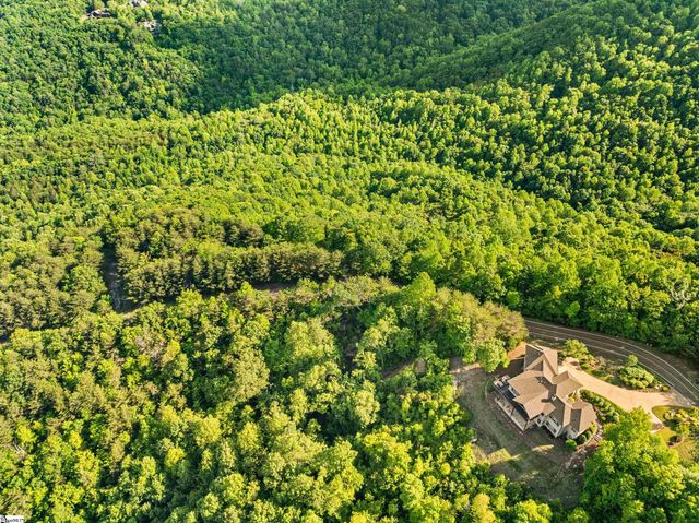214 Craggy Rock Lane, Landrum, SC 29356