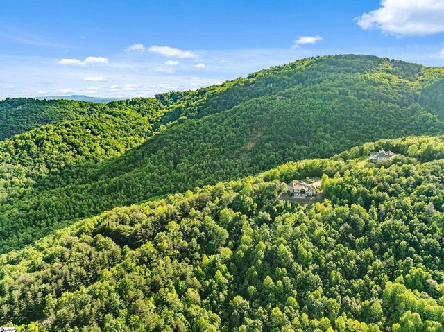 214 Craggy Rock Lane, Landrum, SC 29356