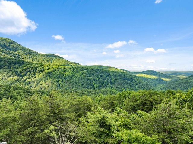 214 Craggy Rock Lane, Landrum, SC 29356