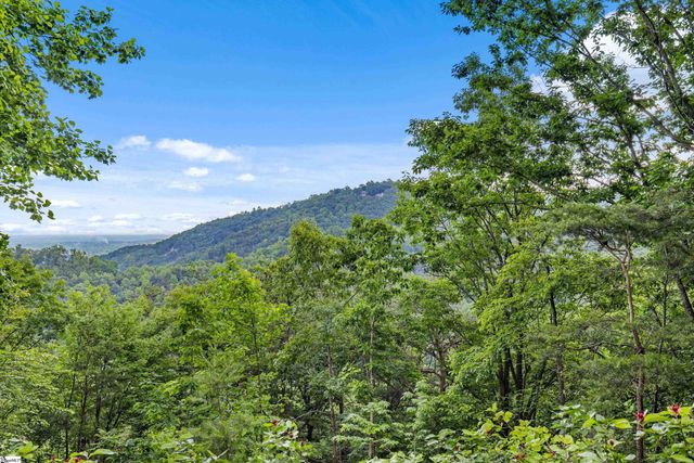 214 Craggy Rock Lane, Landrum, SC 29356