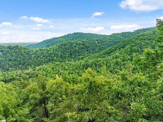 214 Craggy Rock Lane, Landrum, SC 29356