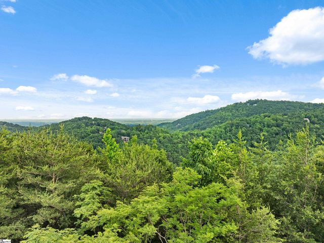 214 Craggy Rock Lane, Landrum, SC 29356