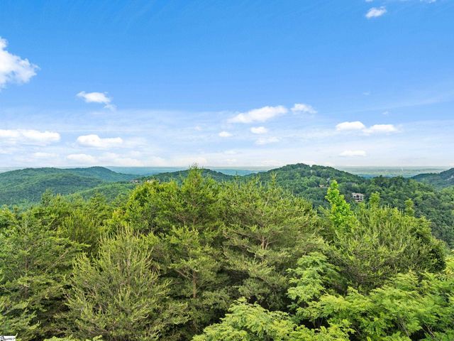 214 Craggy Rock Lane, Landrum, SC 29356