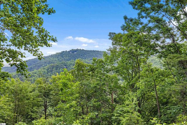 214 Craggy Rock Lane, Landrum, SC 29356