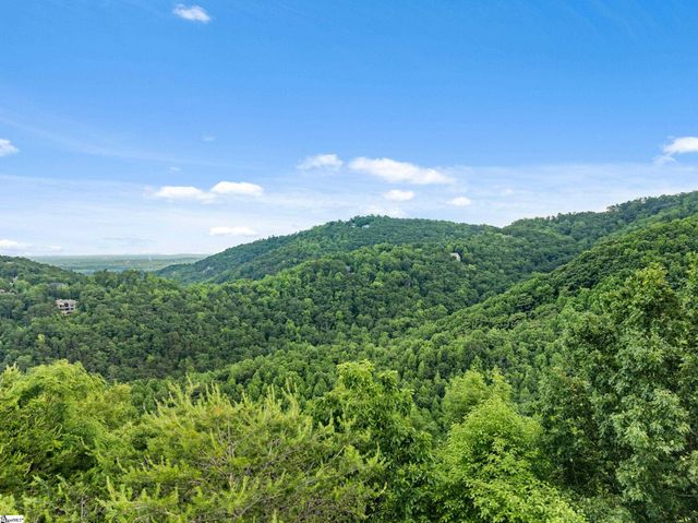 214 Craggy Rock Lane, Landrum, SC 29356