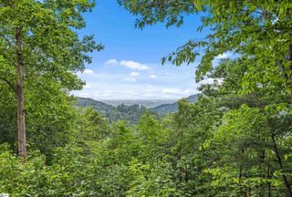 214 Craggy Rock Lane, Landrum, SC 29356