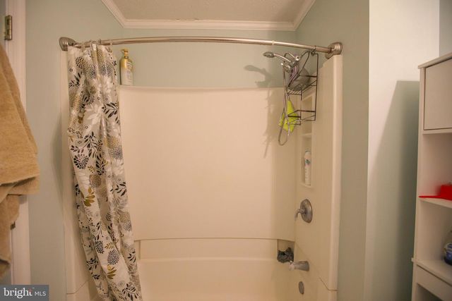 10 WHITING AVE, Boyce, VA 22620