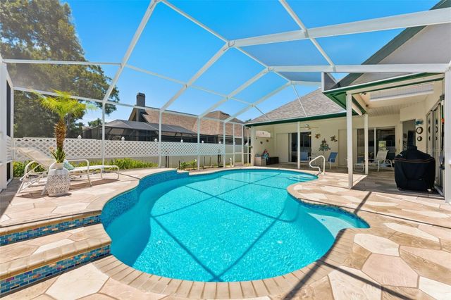 3406 SYLVAN SHADOW STREET, Valrico, FL 33596