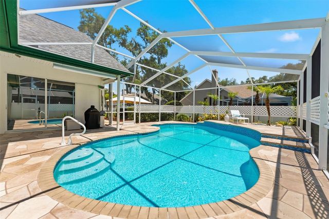 3406 SYLVAN SHADOW STREET, Valrico, FL 33596