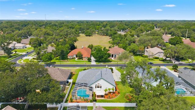 3406 SYLVAN SHADOW STREET, Valrico, FL 33596