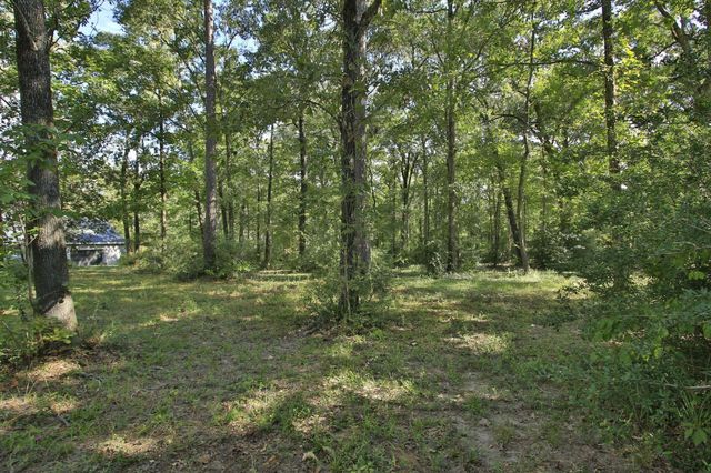 14689 Diamond Shores, Willis, TX 77378