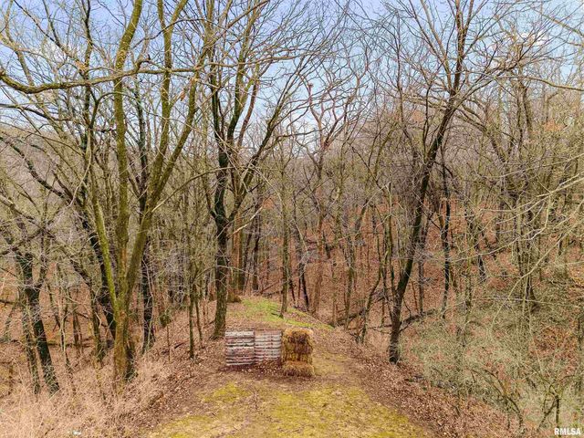 377 TEN MILE CREEK Road, Germantown Hills, IL 61548