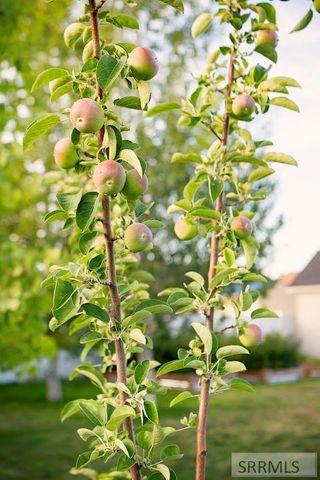 5317 E Buchanan Avenue, Iona, ID 83427