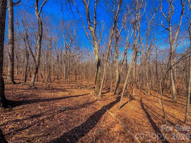 863 Sierra Trace Road, Denton, NC 27239
