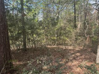 TBD Big Foot Wallace Trail, Livingston, TX 77351