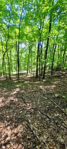 1649 Moss Patch Trail, Jasper, GA 30143