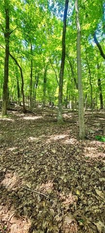 1649 Moss Patch Trail, Jasper, GA 30143