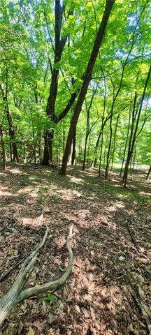 1649 Moss Patch Trail, Jasper, GA 30143
