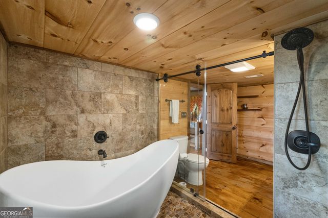 157 Misty Mountain Lane, Blue Ridge, GA 30513